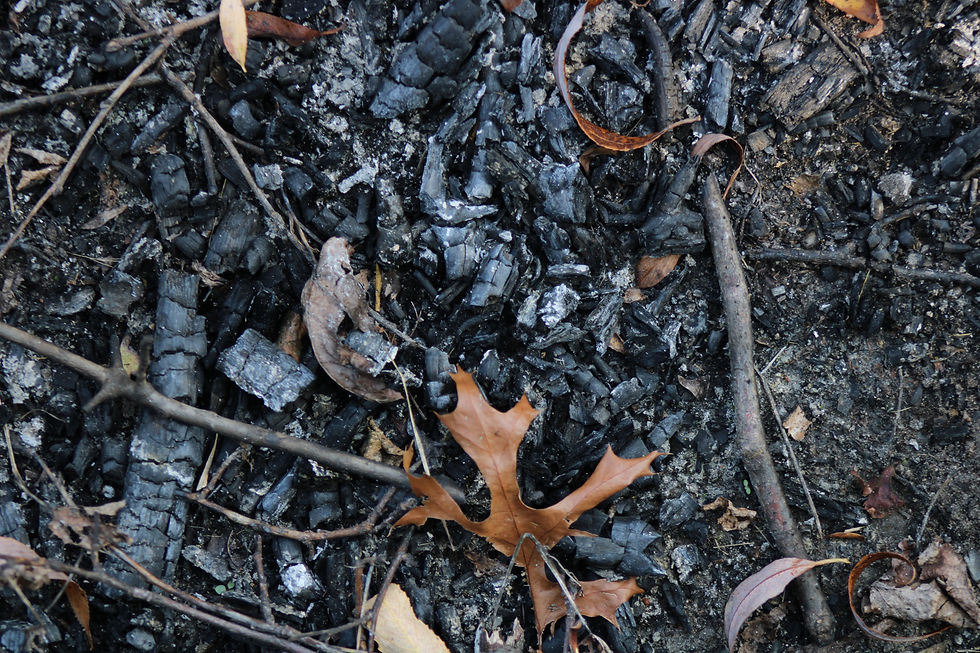 Trailwork Wed Oct 14th