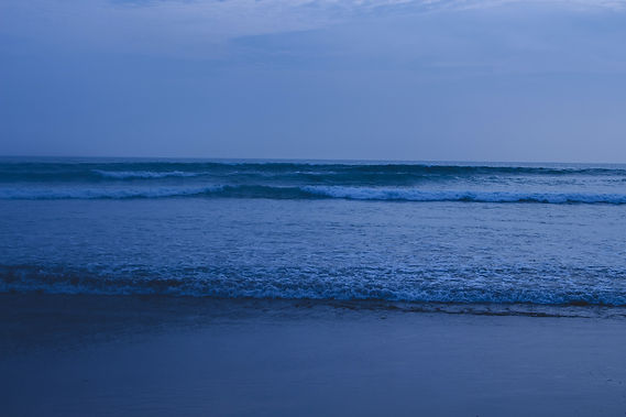 Image by Cris S.