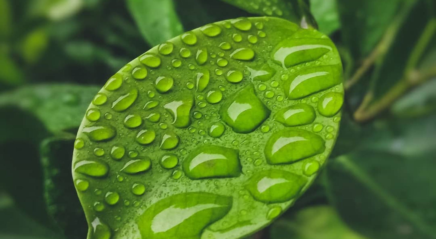 Image by Tehzeeb Kazmi