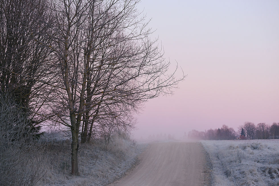 A quiet winter outdoor scene with muted light.