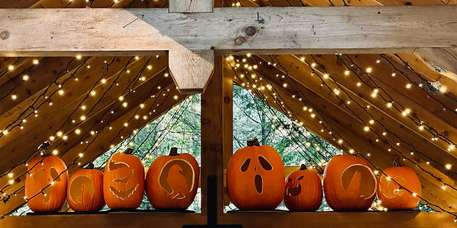 Airplane Wing_edited_edited.png