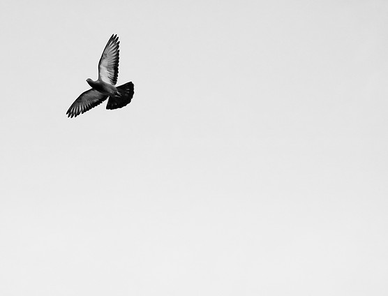 Image by Tamilazhagan