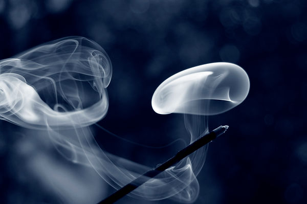 Image by Uliya Kurilova
