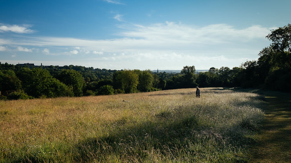 Absolute Financial Group makes first Partnership Programme acquisition with Hampshire-based IFA