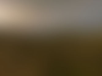 Trail Camera Services