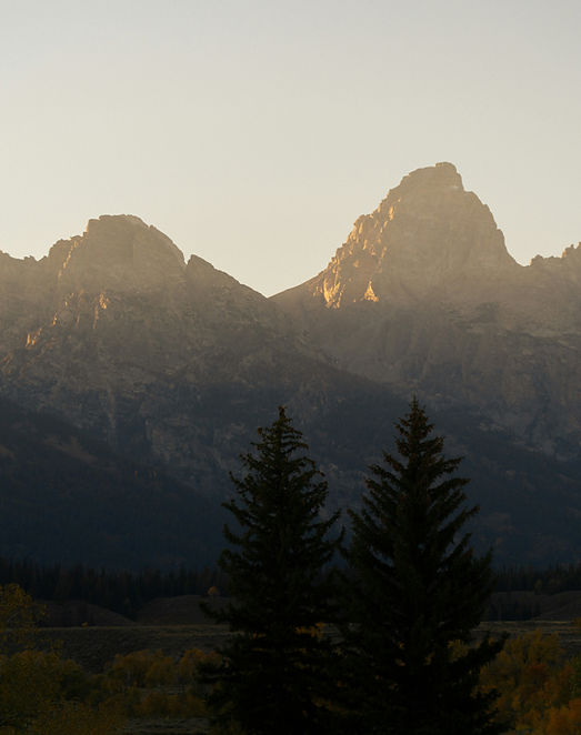 Image by Alex Moliski