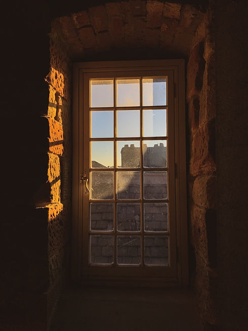 Image by Ashleigh Robertson