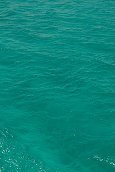 Image by Tatiana Rudneva