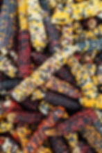 Indian Corn Take & Make Kits