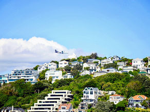 Wellington New Zealand suburbs