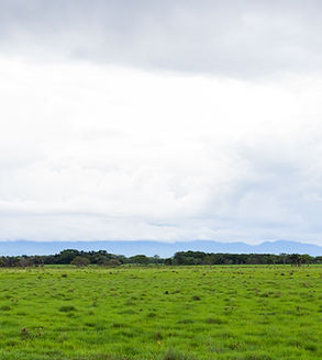 Image by RAFAEL MOLANO ALVAREZ