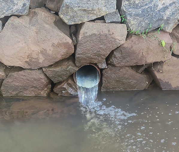 Image by Jacob Antony