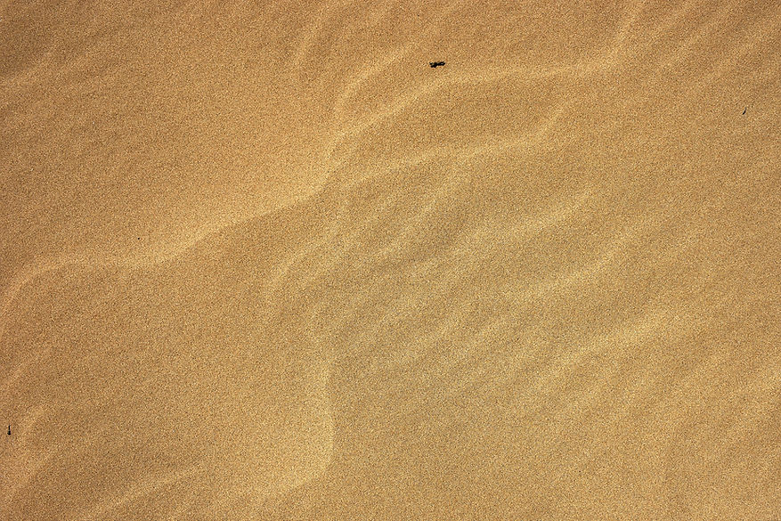 Image by Wolfgang Hasselmann