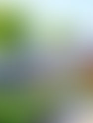 SolaX Power lança sistema de comutação inteligente que assegura energia ininterrupta no Brasil