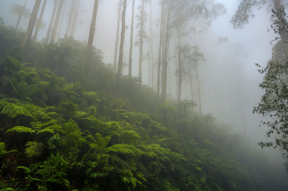 Image by Andrew Bunnell