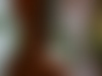 Gedicht van de maand | NOVEMBER