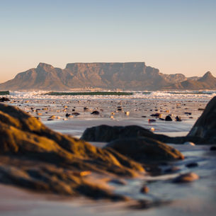 Cape Town South Africa Guide