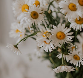 Image by Kateryna Hliznitsova