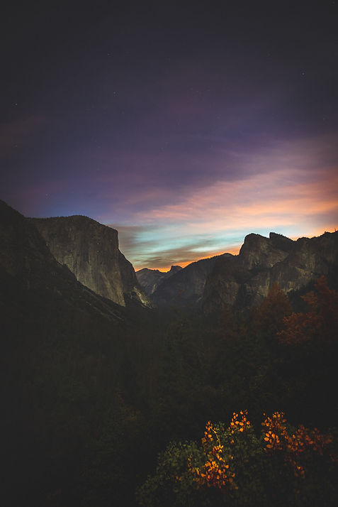 Image by Casey Horner