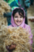 Image by Peyman Shojaei