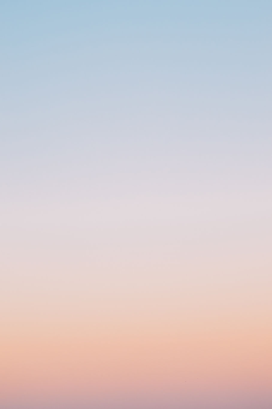 Image by Rasmus Smedstrup Mortensen