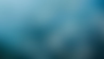 O MILAGRE DA MULTIPLICAÇÃO 