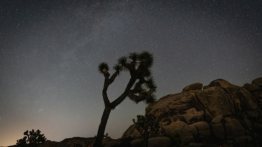 Image by wallace Henry