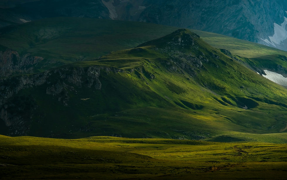 Image by Gleb Lucky
