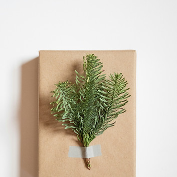 Image by Fiona Murray-deGraaff