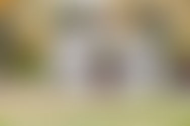 Homeowners Insurance - Policy Coverage Summary