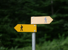 Why the Order of Financial Planning Decisions Matters More Than the Decisions Themselves