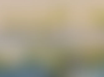 Florida Advanced Healthcare Directives, Notary Public