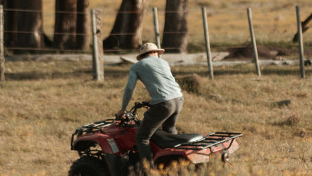 National Farm Safety Week Highlights Ongoing Toll