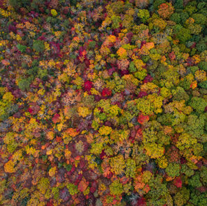 A Word for this Season