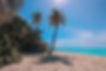 Bahamas beach Image by yang wewe