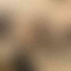 Baboons interacting with antelope in the African savanna during a safari from Zanzibar