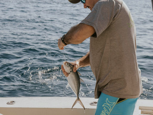 Charter Fishing