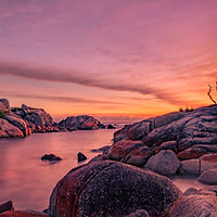 Image by Trevor McKinnon