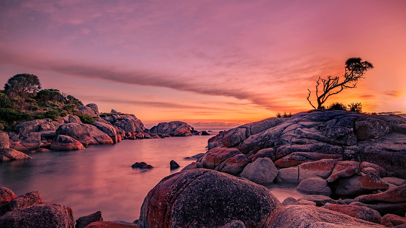 Image by Trevor McKinnon