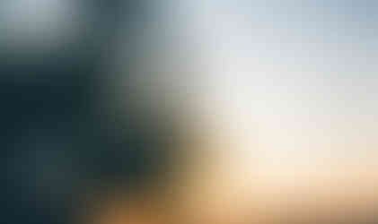 soft orange sunrise blending into a pale blue sky, dandelion flowers floating away on a breeze.