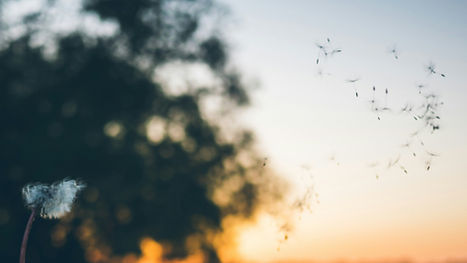 Mid-Month Health Tip: Allergy Season Prep