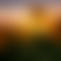 Shadow Maribrengaël 水瓶座満月のトンネル 終了