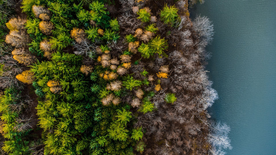 Papua New Guinea
