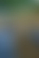 Ayakkabınızdaki Taşı Neden Çıkarmıyorsunuz? "Tanıdık Acı" ile Vedalaşma Pratiği