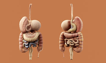 Image by Aakash Dhage