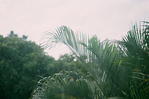 Image by Jisun Han