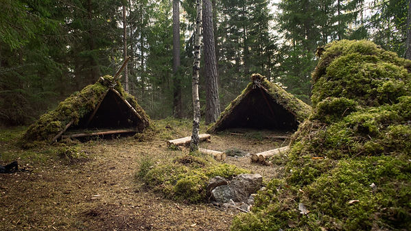 Image by Caspian Dahlström