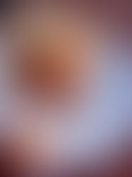 Krabbencocktail - Elegant, leicht und luxuriös