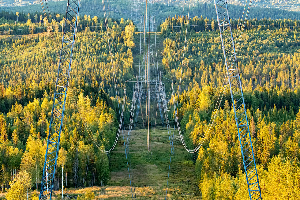 Image by Lasse Nystedt