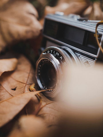 Image by Alex Foret